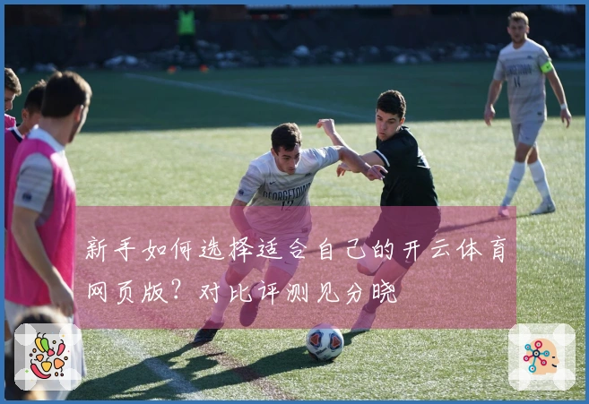 新手如何选择适合自己的开云体育网页版？对比评测见分晓